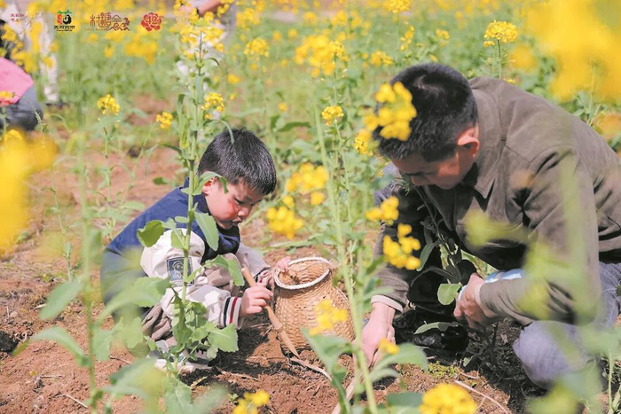 专属设置的野菜采集点，让游客沉浸式感受山野乐趣。