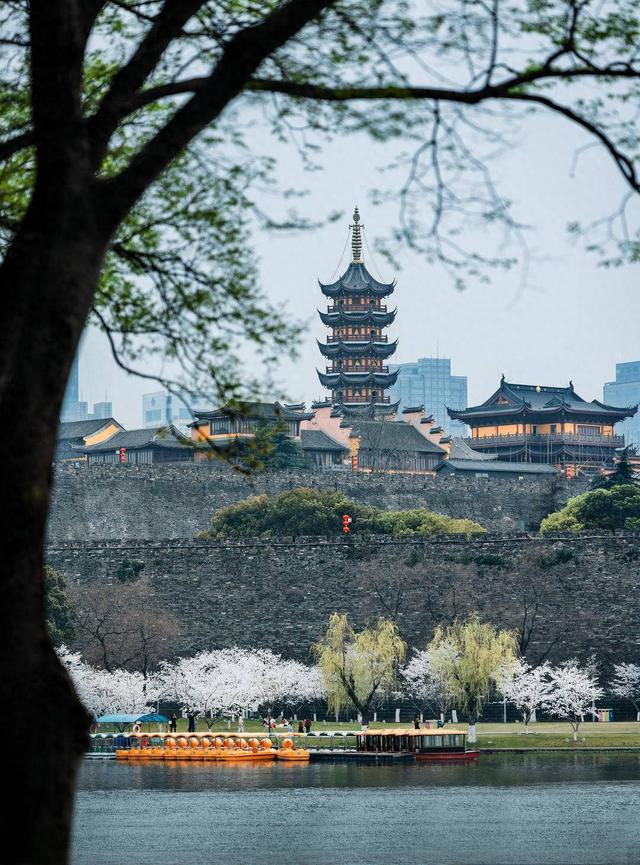 南京上榜清明假期最受欢迎目的地第二名。来源：视觉中国