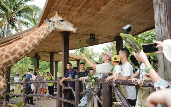 海南热带野生动植物园