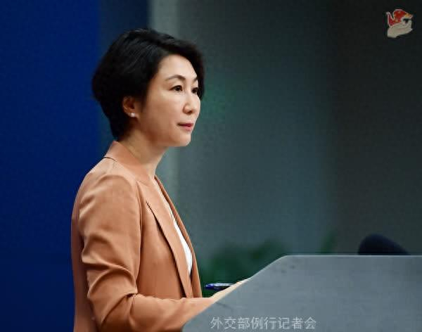 毛宁 资料图。图源：外交部网站