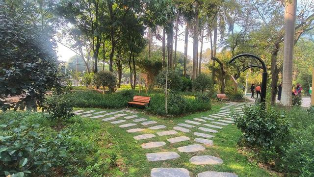 南宁市推进“拆栏透绿”共享公园景观。新华社发（黄白梅摄）