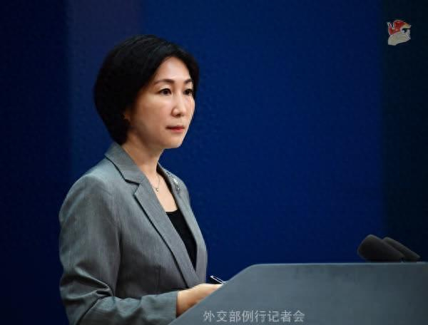 毛宁资料图。图源：外交部网站