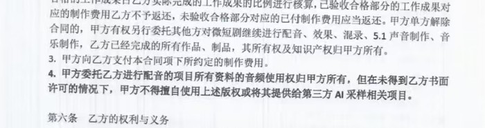 言一在与甲方签署的合同中会注明未经许可不得将其提供给第三方AI采样。受访者供图
