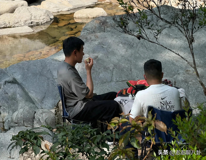 图片来源网络，侵删