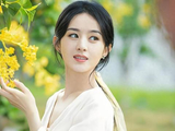 赵丽颖版〈楚乔传〉为何封神?不可替代的演技与敬业_晨曦娱乐