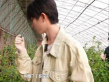 “可惜了丁哥没来” “最爱吃蓝莓的人没来”