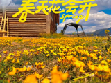 春天花花同学会加油