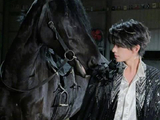 杨洋因为橙v发微博了：不发不行了