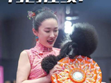 再创佳绩！霍思燕穿旗袍携爱犬海外再夺冠