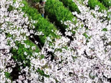 跟着周深的歌邂逅浙江浪漫山野