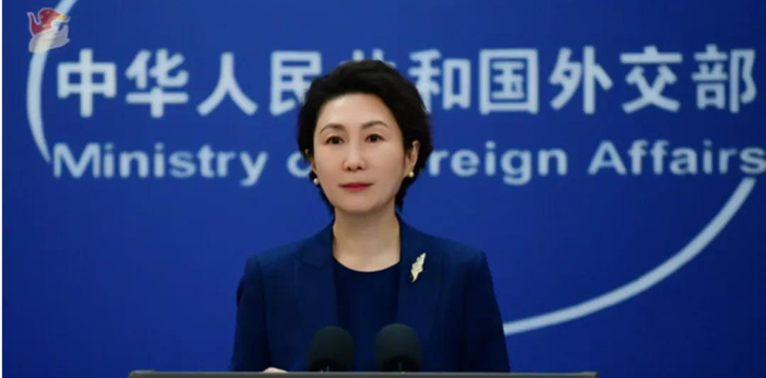 外交部发言人毛宁 资料图 图源：外交部网站