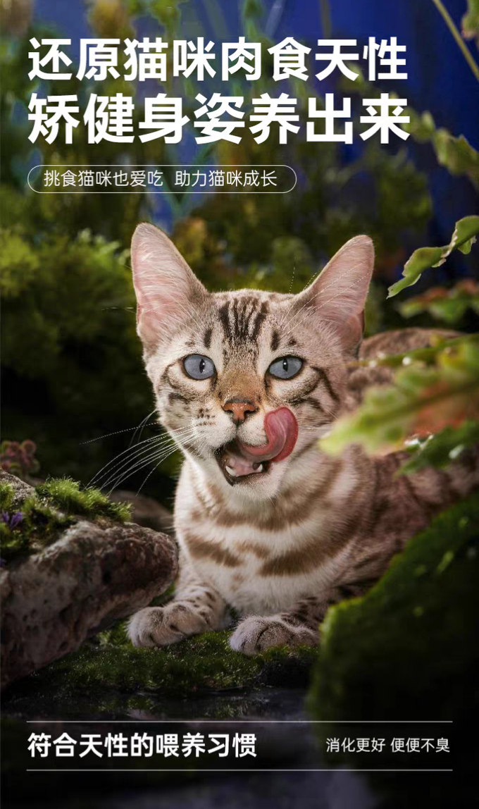  打开网易新闻 查看精彩图片 