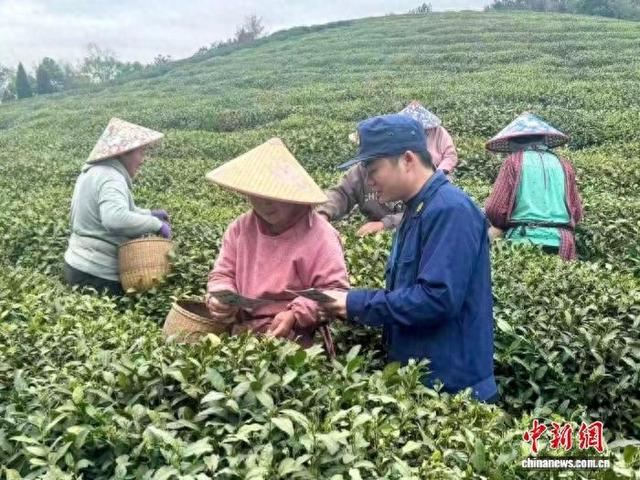 消防宣传员向茶农科普安全知识。杭州市西湖区消防救援局 供图