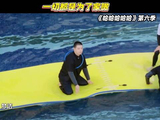 马頔一句“为了家”触发了超哥赫哥的“声明开关”