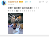 周深此次‘端水’事件为何被网友称赞机智又暖心？