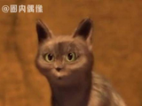 黄子韬嗦粉香到让人无法抗拒！黄子韬徐艺洋吃螺蛳粉被偶遇