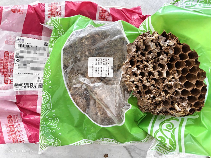 钟先生购买到的蜂窝实物