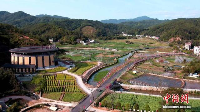 永定区金砂镇中央红色交通线纪念馆旁的广袤田野绿意初显、生机盎然。黄秋萍 摄