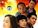 错爱一生[2005年梁山执导的电视剧]