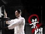 甄子丹《叶问》系列电影