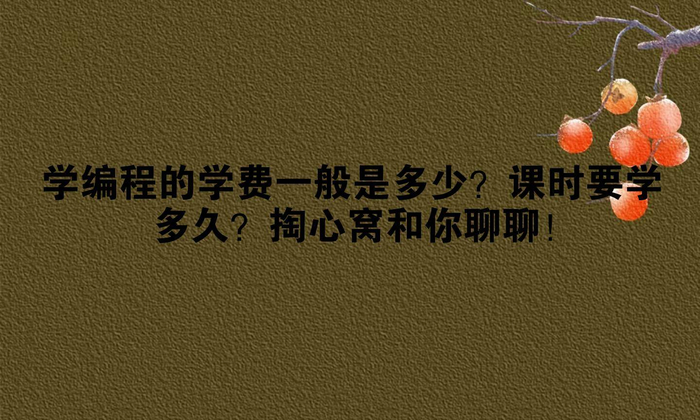 学编程的学费一般是多少?课时要学多久?掏心窝和你聊聊!__财经头条__新浪财经