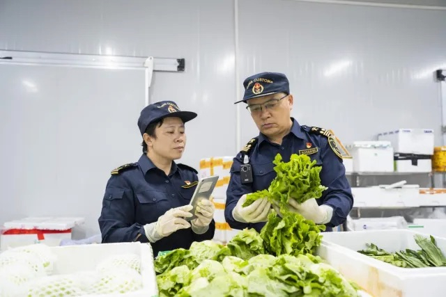 会上，内地供港蔬菜《润丰供港蔬菜标准》正式发布。资料图。