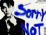庆怜“SORRYNOTSORRY”巡演广州站的整体氛围和观众反响如何？