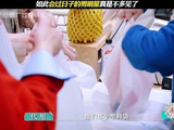 这般精打细算过日子的男明星实属凤毛麟角 周柯宇来内娱是为了追星吗