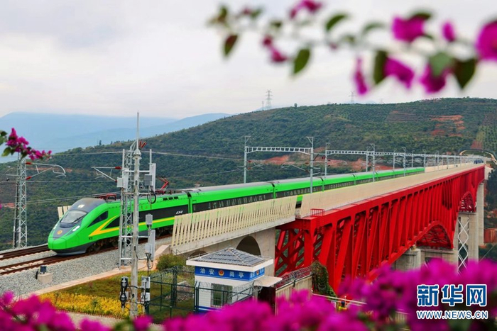中老铁路元江特大桥，“绿巨人”与红色的桥身、紫色的山花相映成景。新华网发（徐章位/摄）