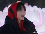 一场由白鹿乌龙引发的连环血案
