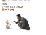 电影《捉妖记》官方曾经如何与井柏然互动玩“胡巴妈”的梗？