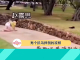 赵露思：真的不是我，真的不是我，真的不是我微博VC计划