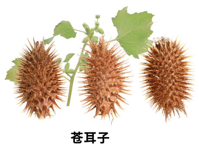 图源：中国药业