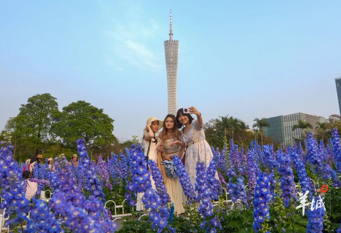 广州今年3月19日“入夏”，较常年“入夏”日期提早28天 资料图/梁怿韬 摄