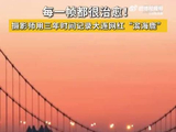 大连野生梅花鹿频现海岸与市民互动