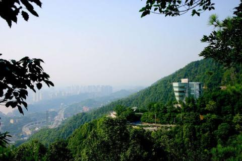 图源：图虫创意-131557416700617909