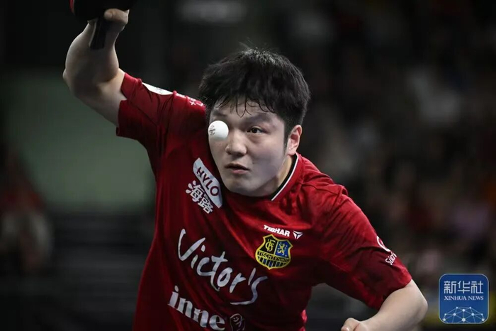樊振东在德甲赛事中。  图片来源：新华社