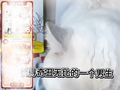 称代言人“奇丑无比”“三线明星”？知名品牌翻车，创始人深夜致歉...终止合作！