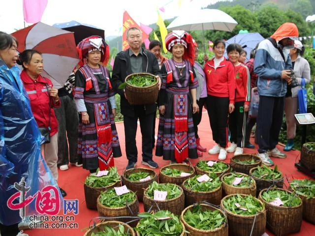 茶叶种植基地负责人陈启军宣布比赛结果（蒋宏伟摄）