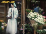 “纵使身在异世，重逢时仍要手捧鲜花奔赴你” 露芜衣 寄灵