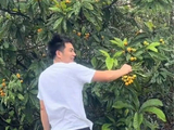这次丞磊家枇杷事件，折射出网友对哪种邻里关系或情感的向往？