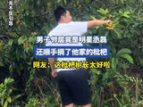男子邻居竟是明星丞磊，还顺手摘了他家的枇杷