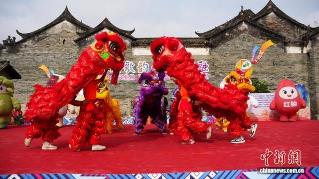 图为舞狮表演。何雯雯 摄