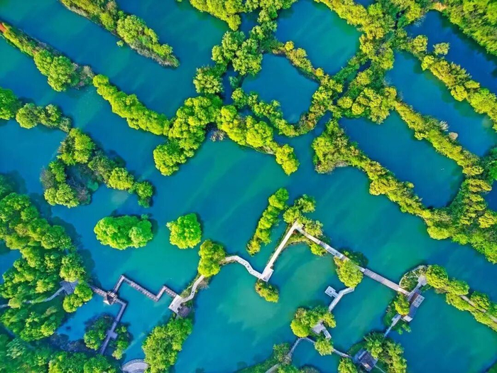 西溪湿地