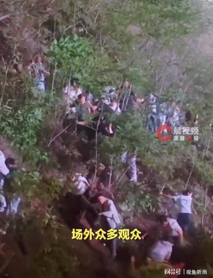     打开网易新闻 查看精彩图片    