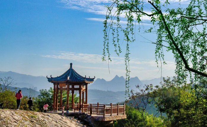  杨淑燕