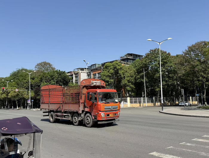 4月9日，温江城区，一辆抢灯成功的大货车。