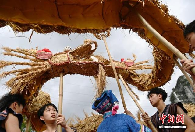 图为在广西罗城仫佬族自治县体育中心，民众在舞草龙。蒙增师 摄