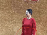 章子怡红毯亮相引热议