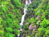 跟着李云霄歌声赴浙江苍翠山野之约